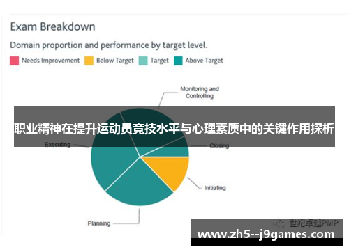 职业精神在提升运动员竞技水平与心理素质中的关键作用探析